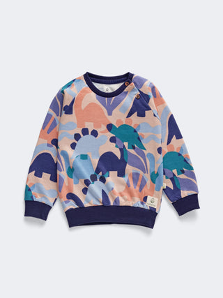 Eebabee Dinosaur Print Unisex Sweatshirt