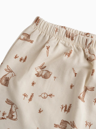 Baby Essentials 3 - Piece Set – 2 Long Sleeve Bodysuits & Printed Diaper Pant - Kidulan